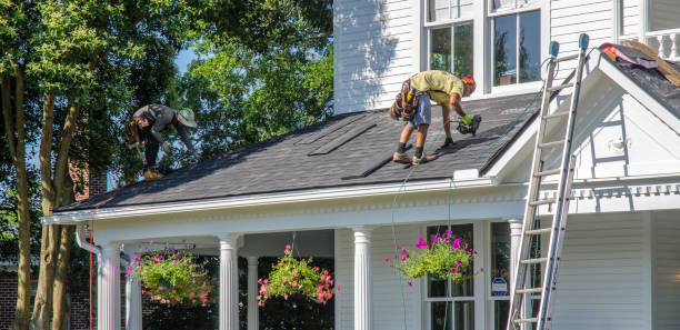 Best Roof Gutter Cleaning  in Germantown Hls, IL